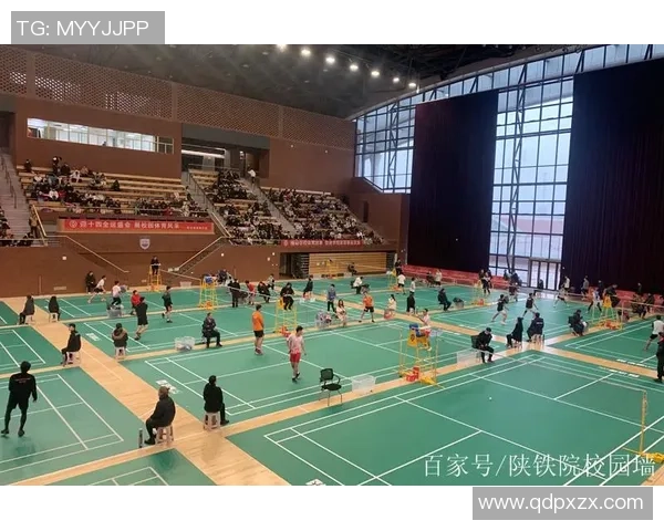 西安羽毛球队运营策略深度分析与发展前景展望